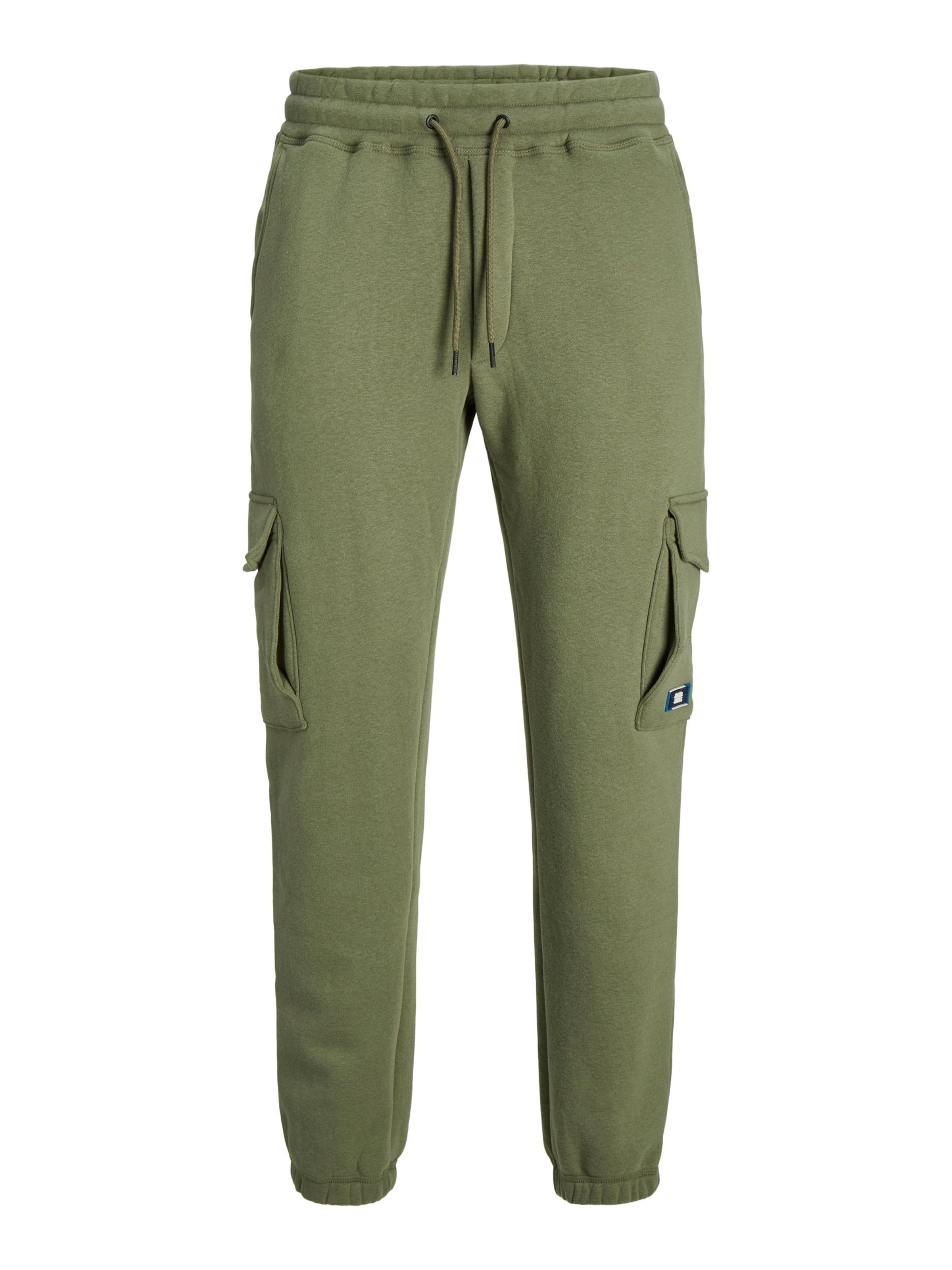žalia JACK & JONES Laisvo stiliaus kelnės 'Gordon': priekis