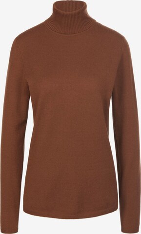 include Sweater in Brown: front