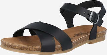 COSMOS COMFORT Sandals in Black: front