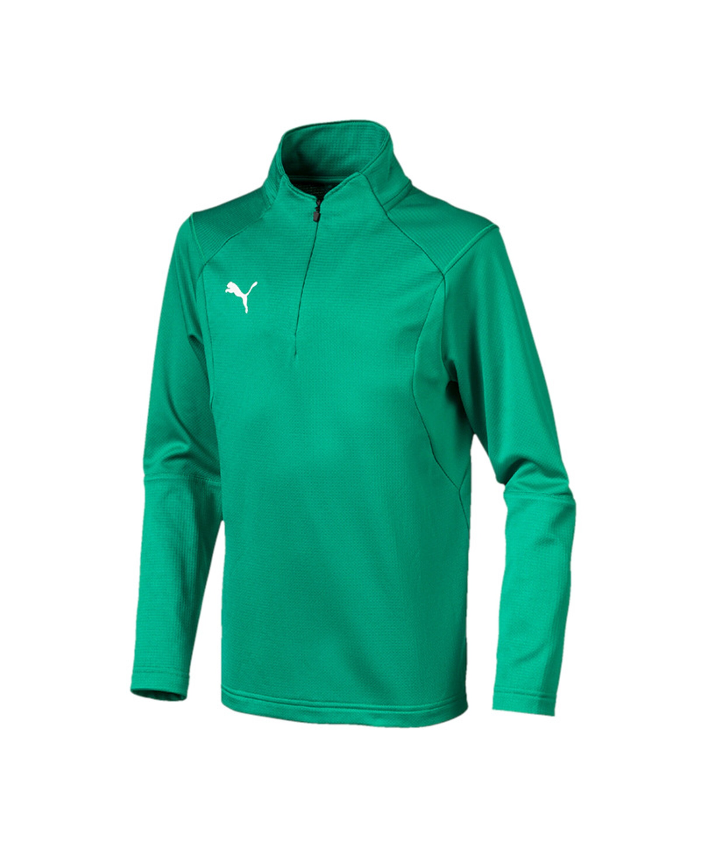 PUMA Sportsweatshirt 'Liga' in Grün: Vorderseite