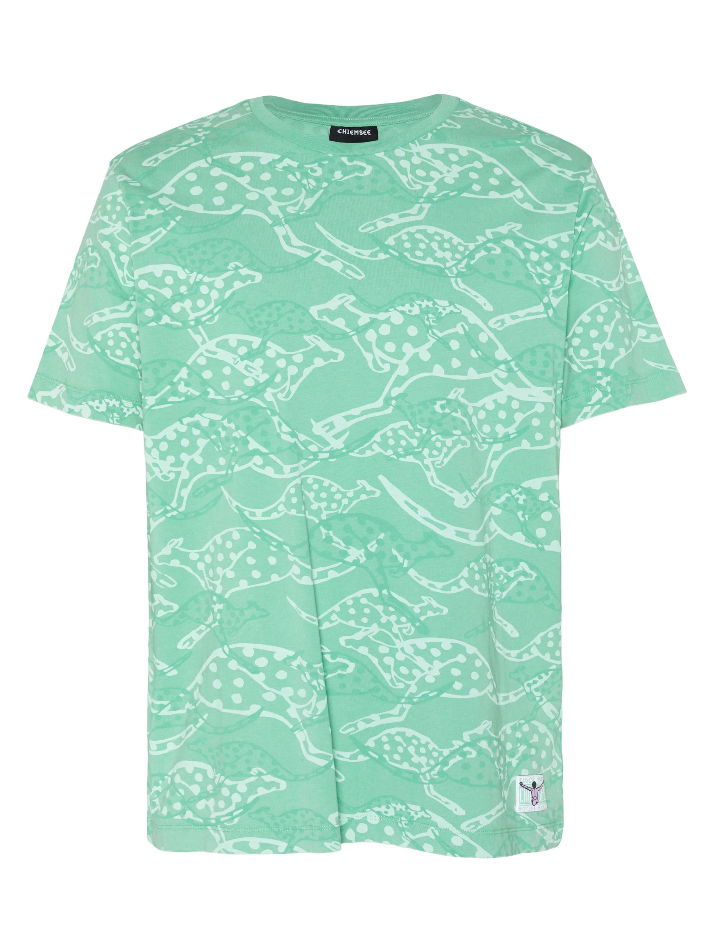 CHIEMSEE Shirt in Green: front