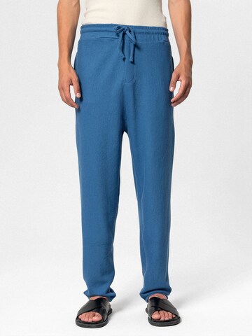 Loosefit Pantalon 'Foxglove' VAMOS CLO en bleu : devant