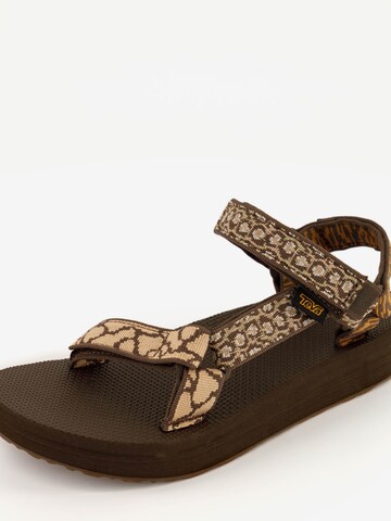 TEVA Sandals in Brown