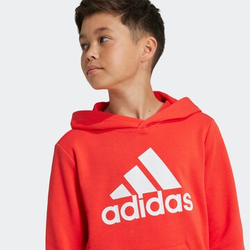 ADIDAS ORIGINALS Sports sweatshirt 'Essentials' in Orange