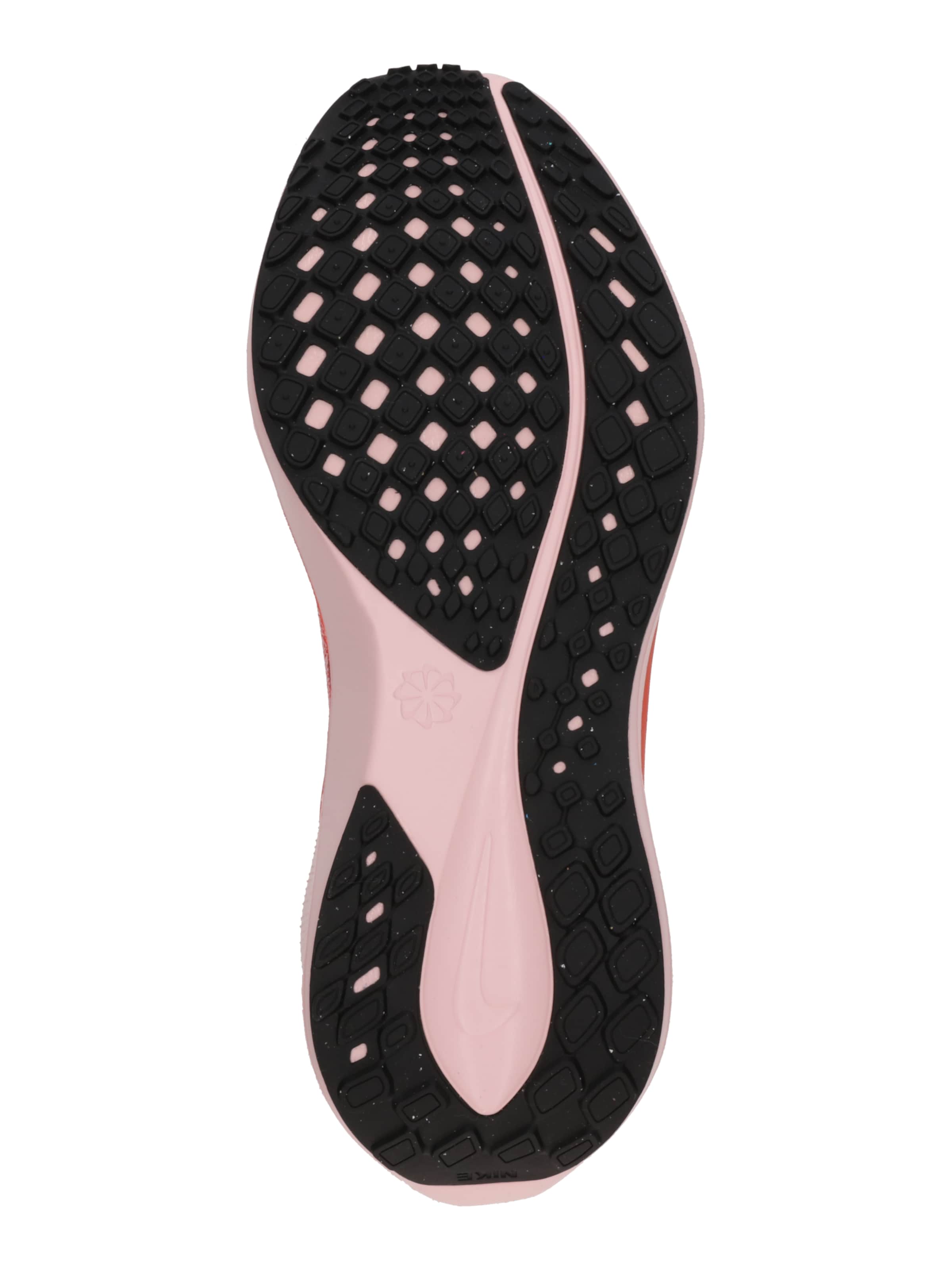 NIKE Madalad ketsid 'Air Zoom Pegasus 41', värv hall