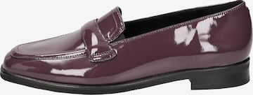 SIOUX Classic Flats 'Gergena-704' in Purple