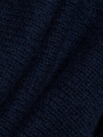 Brookshire Trui in Blauw