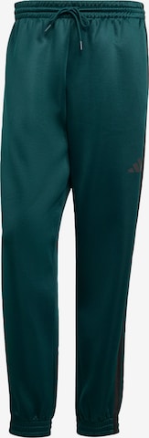 žalia ADIDAS SPORTSWEAR Siaurėjantis Kelnės 'Stadium': priekis