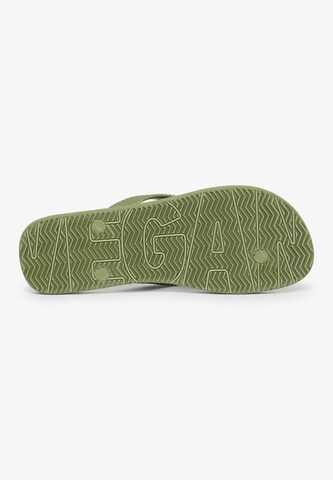 Superdry Teenslippers in Groen