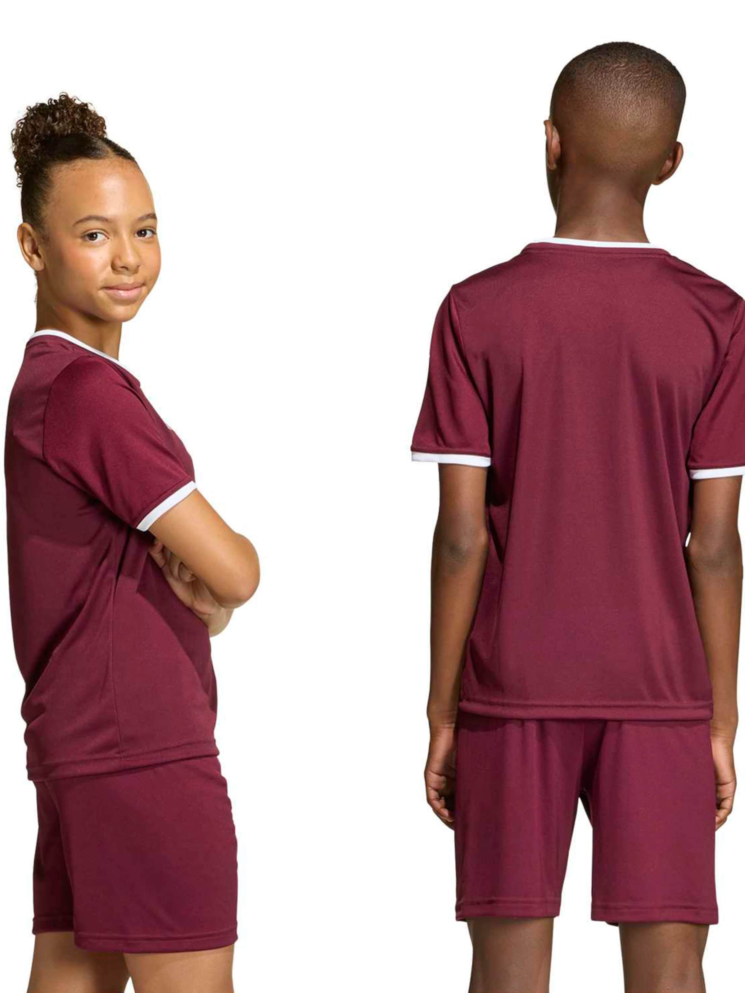 ADIDAS PERFORMANCE Функциональная футболка 'ENT26' в Красный