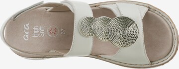 ARA Sandals in Beige