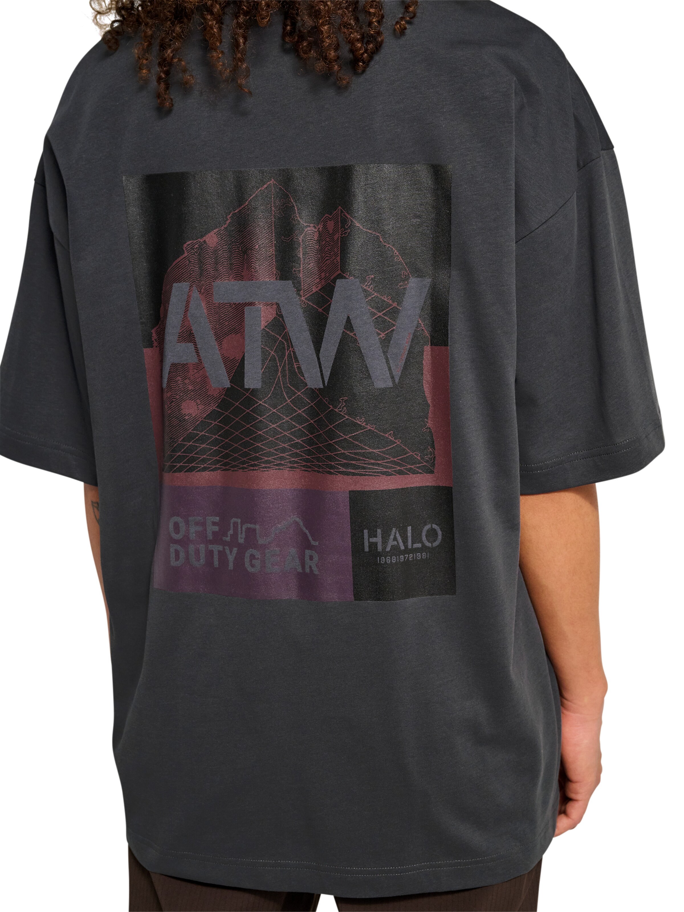 HALO Shirt in Grijs