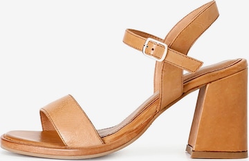 Décolleté di CAFè NOIR in marrone: frontale