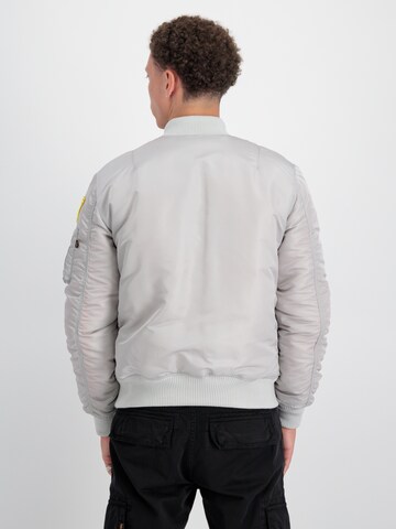 Veste mi-saison 'Nasa' ALPHA INDUSTRIES en gris