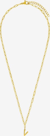 Lucardi Necklace in Gold: front