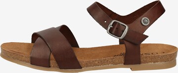 COSMOS COMFORT Sandals in Brown