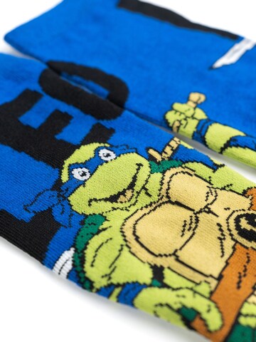 Teenage Mutant Ninja Turtles Socks in Mixed colours