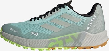 ADIDAS TERREX Running Shoes 'Agravic Flow 2.0' in Blue: front