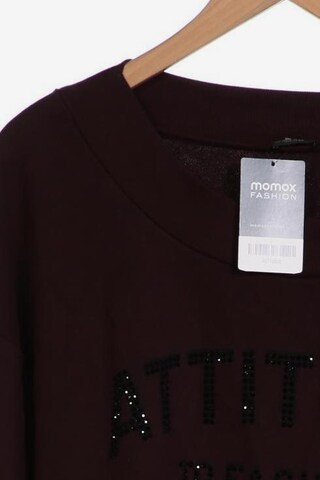 MARGITTES Sweater 4XL in Braun