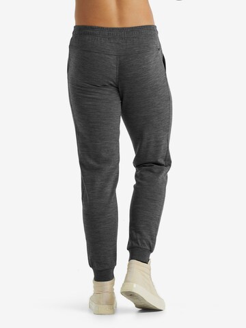 ICEBREAKER Slim fit Outdoor trousers ' Shifter' in Grey