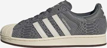ADIDAS ORIGINALS Platform trainers ' Superstar II ' in Grey: front