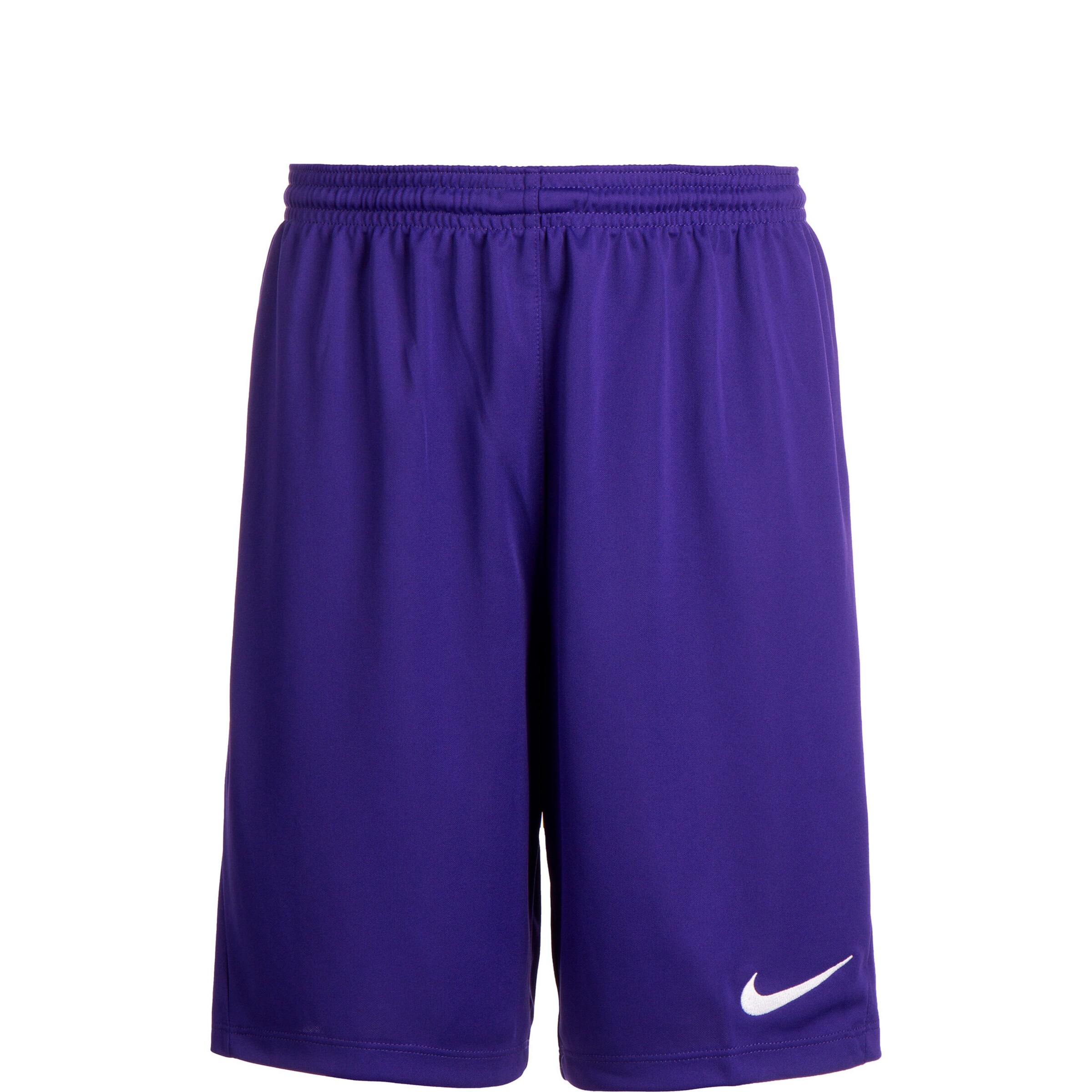 NIKE Regular Sporthose 'Dry Park III' in Lila: Vorderseite