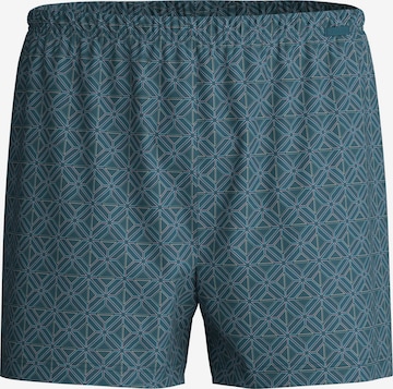 CALIDA Boxer shorts 'Prints' in Grey: front