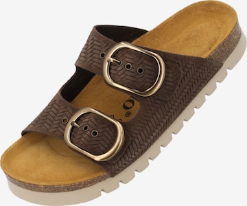 Palado Mules 'Korfu' in Brown: front