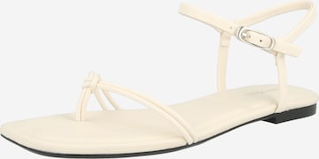 Calvin Klein - Chinelos de dedo em bege: frente