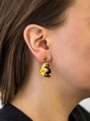 Fräulein Wunder Earrings 'Acetat Amy' in Brown: front