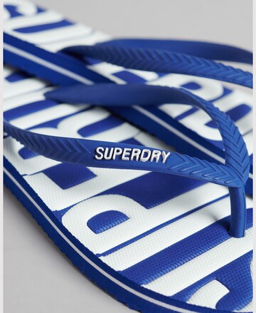 Tongs Superdry en vert