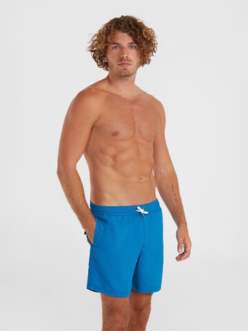 O'NEILL Swimming Trunks 'Vert' in Blue: front