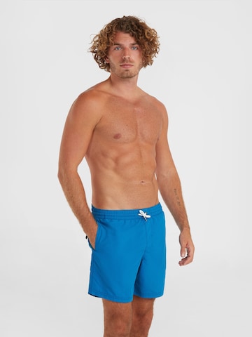 O'NEILL Športne kopalne hlače 'Vert' | modra barva: sprednja stran