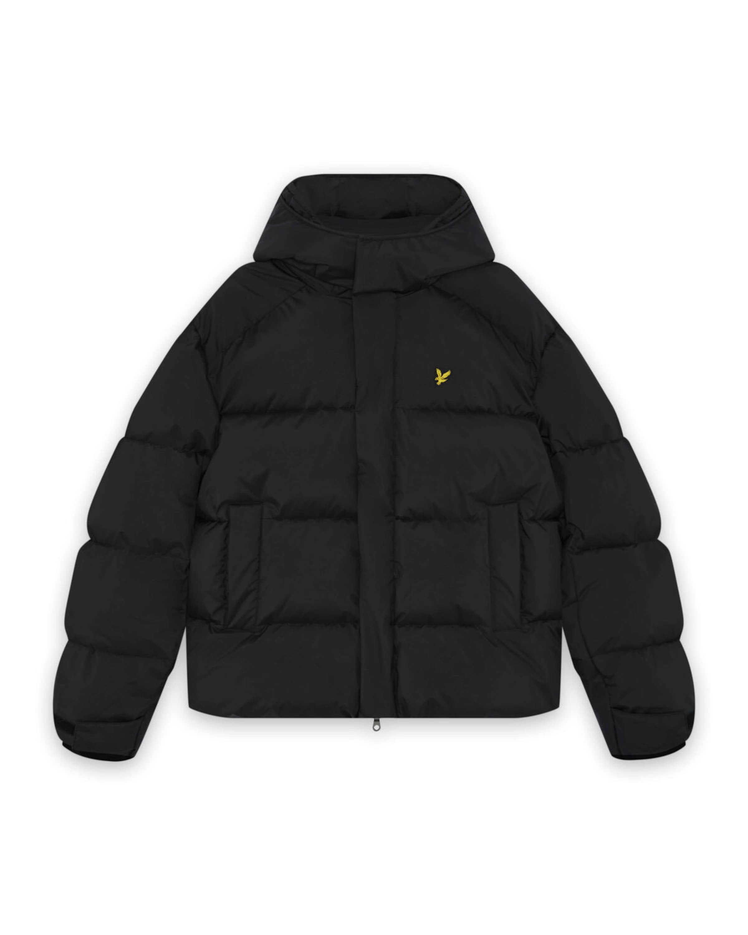Lyle & Scott Зимняя куртка в Черный: спереди