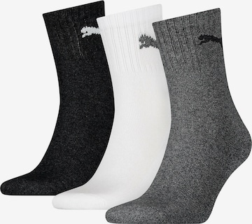 PUMA Socks in Mixed colors: front