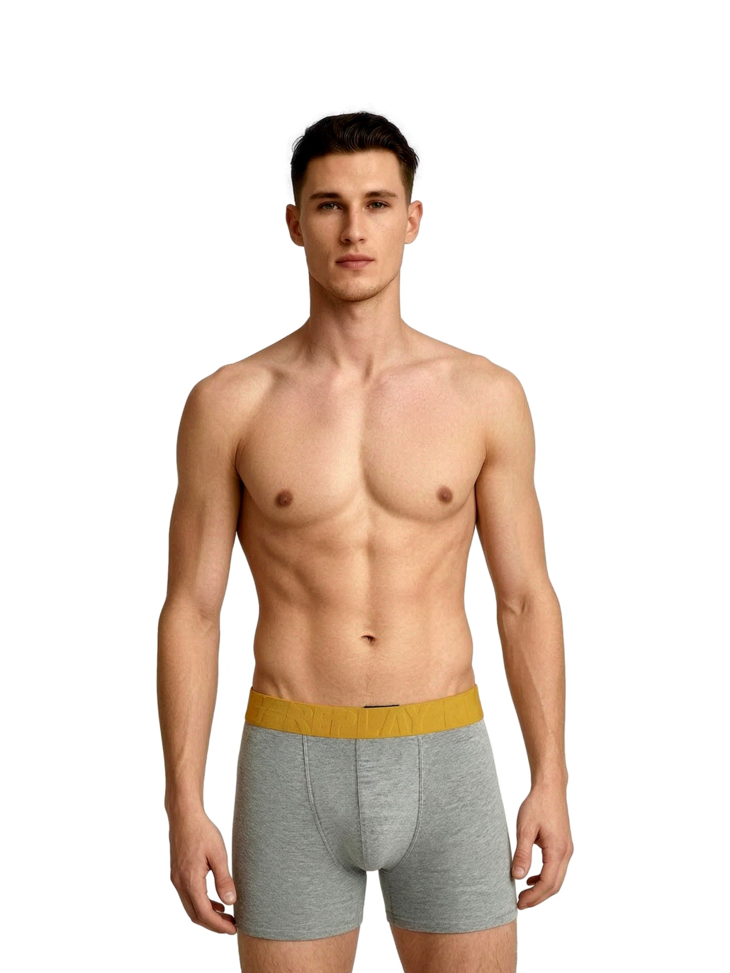 pilka REPLAY Boxer trumpikės