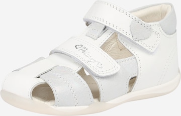 PRIMIGI Sandals & Slippers in White: front