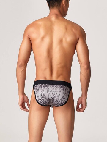TAUWELL Panty 'Tiger' in Grey