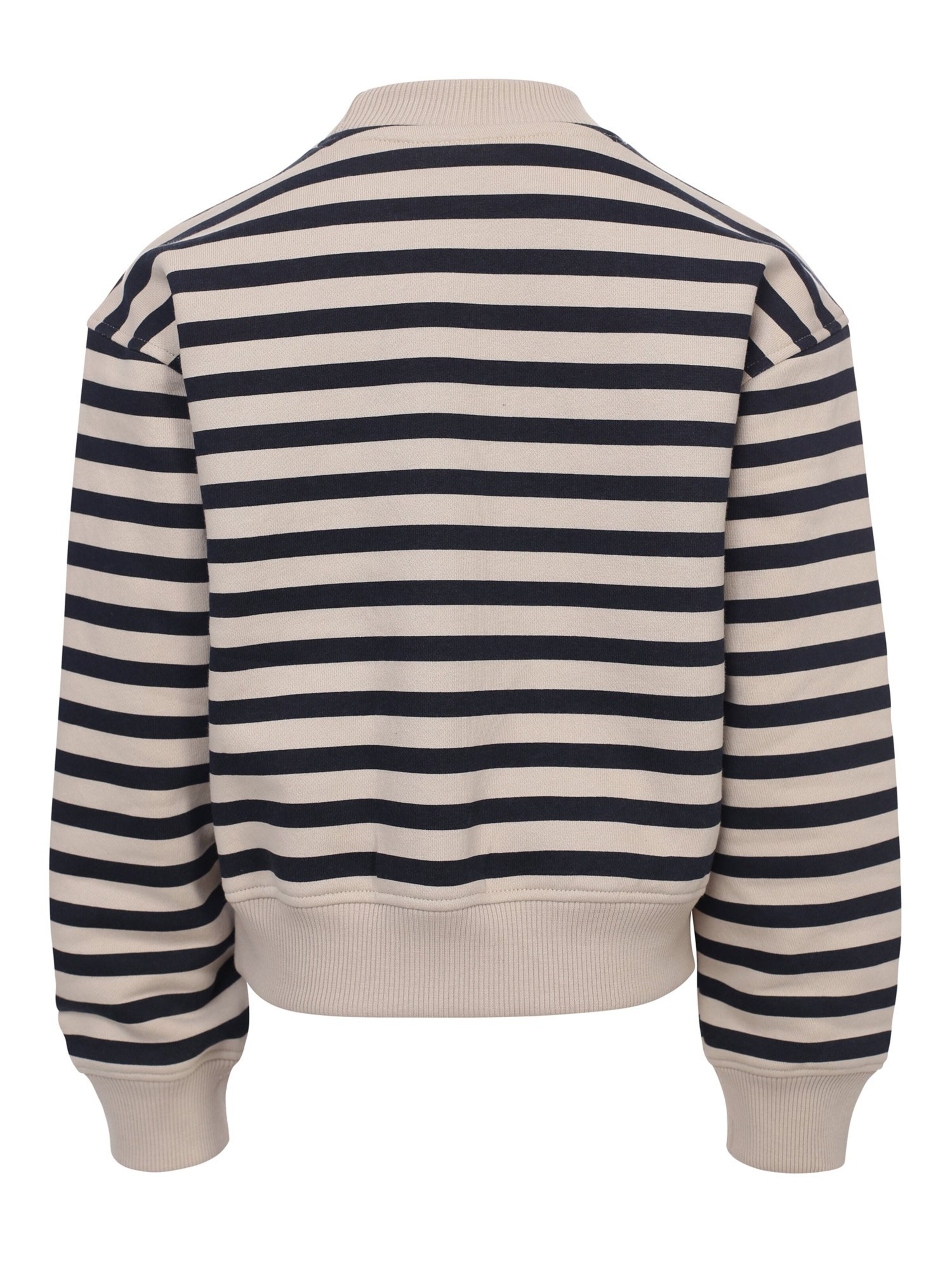 Looxs Revolution Sweatshirt in Grijs