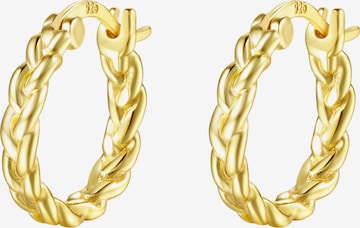 Hey Happiness Oorbel 'Braided' in Goud: voorkant