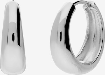 Boucles d'oreilles 'Statement' Lucardi en argent : devant
