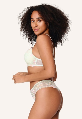 LingaDore - Clásico Sujetador en verde