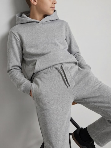 regular Pantaloni 'JREBCREST' di JJ Rebel in grigio