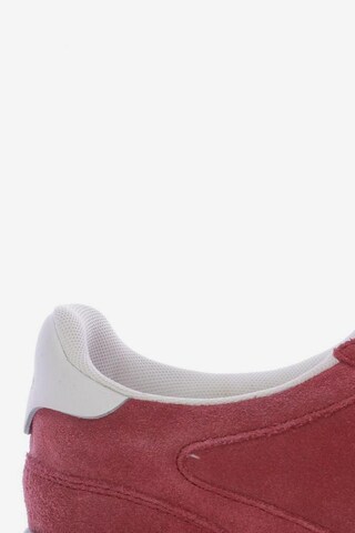 Polo Ralph Lauren Sneaker 40 in Rot