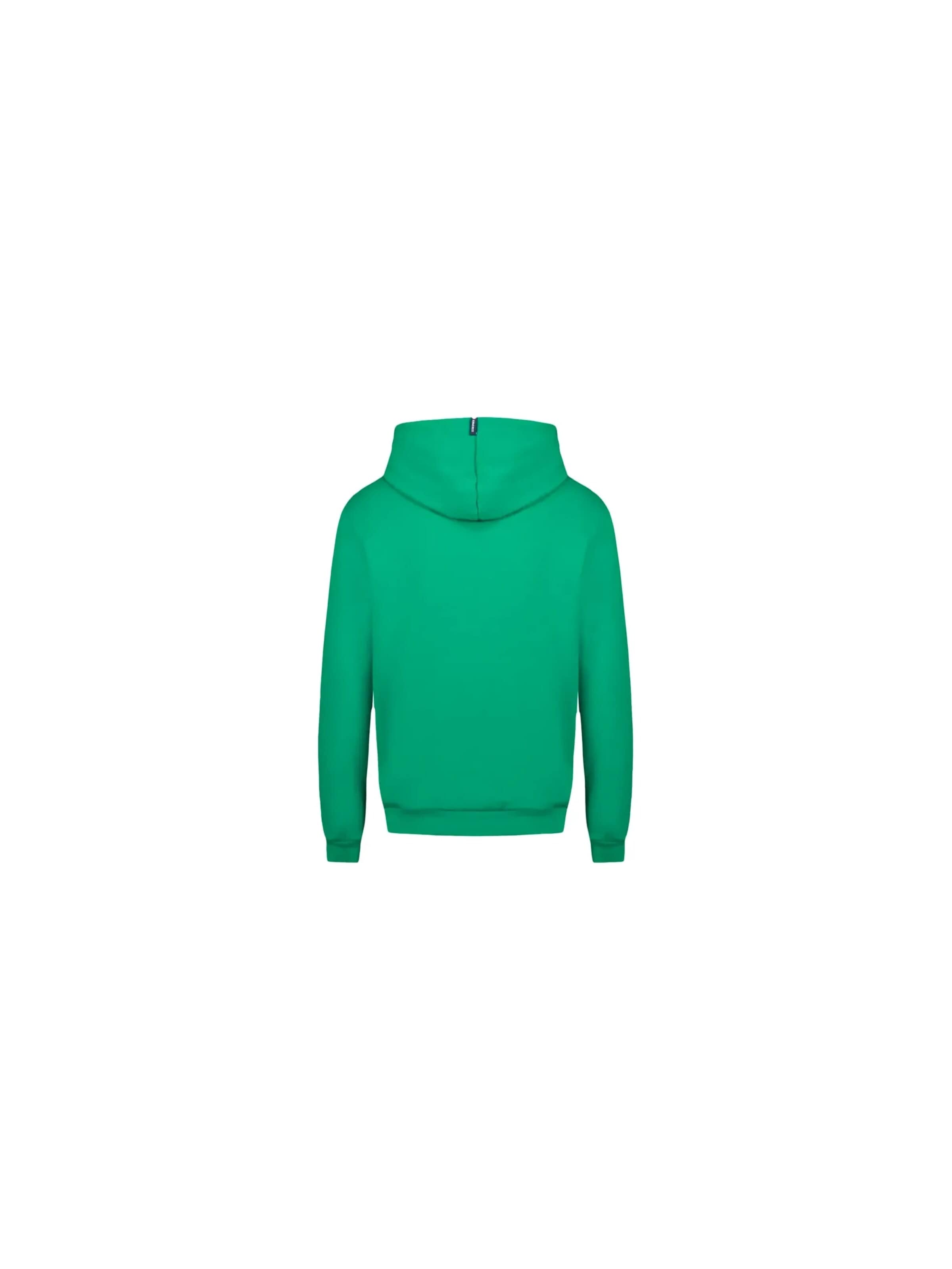 Sweat-shirt 'Essentiels N2' LE COQ SPORTIF en vert