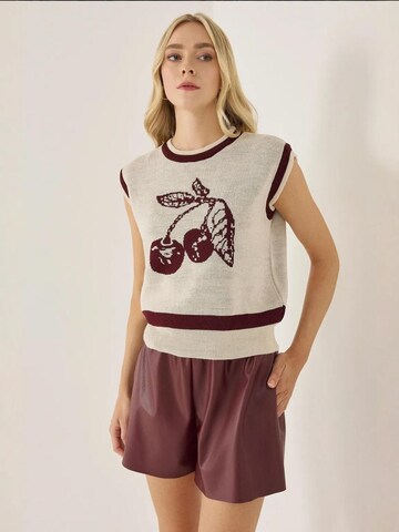 Pull-over Hiccup en beige : devant