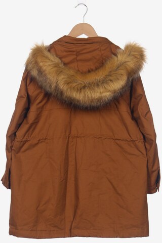 Springfield Jacket & Coat in XL in Brown