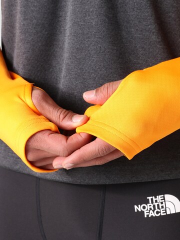 THE NORTH FACE Sports sweater in Black