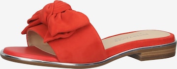 PETER KAISER Mules in Red: front