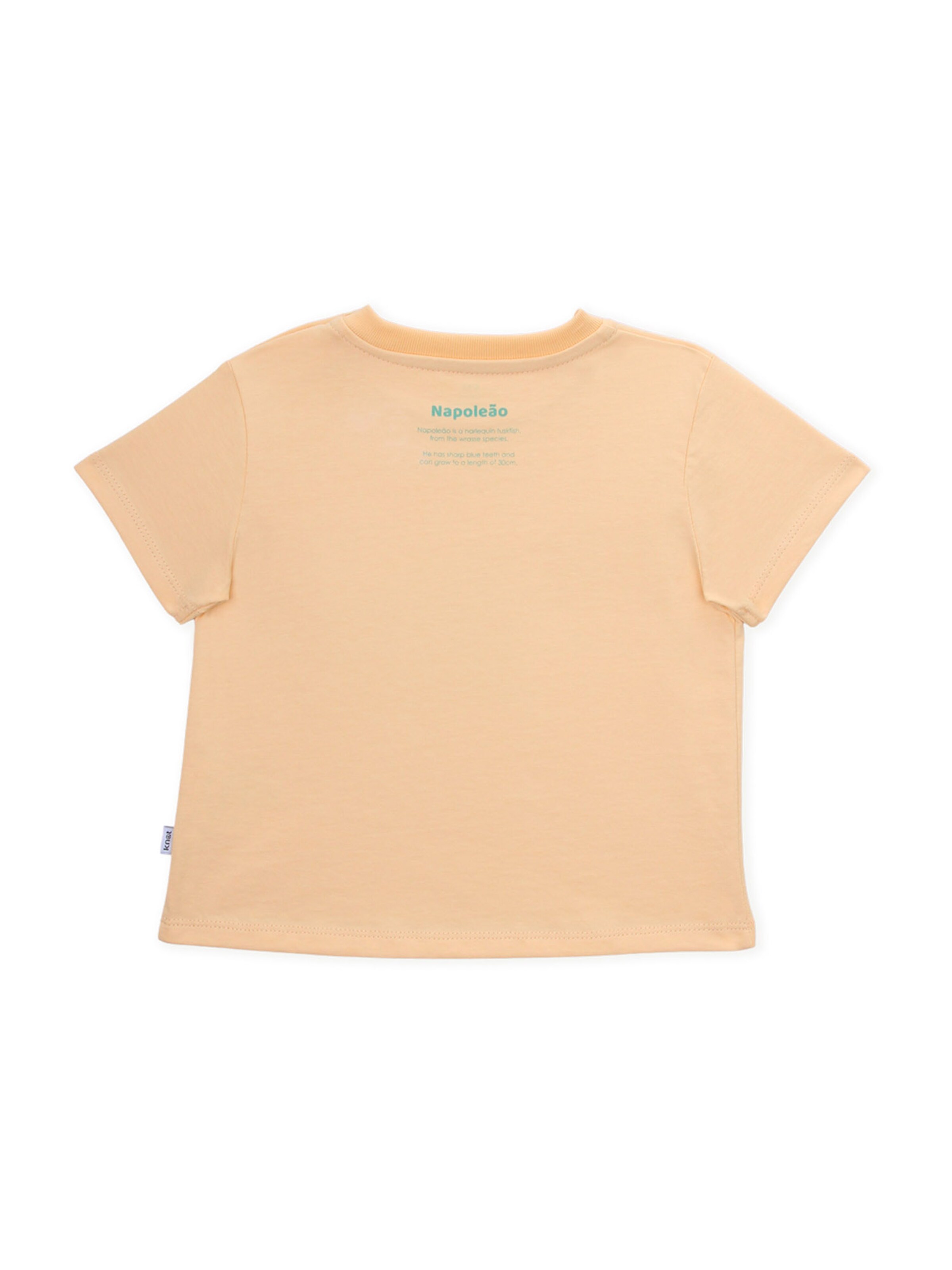 KNOT Μπλουζάκι 'Harlequin Tuskfish' σε πορτοκαλί